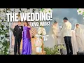 Download Lagu THE WEDDING! (LOVE WINS!)