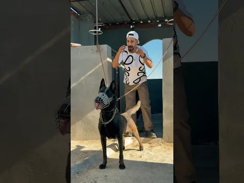 الجوازه ببلاش 🔥💪