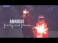 Family and Friends - Amadeus (Official Video)