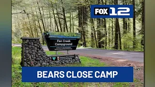 Aggressive mother bear cub looking for food force closure of BLM campsite near Willamina
