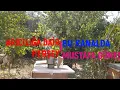 Beekeeping . HOW TO BEGIN BEING BREED . ( VIDEO 2022) part 2