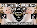 Download Lagu DJ TELUNG DINO MULIH RONO TELUNG DINO BALI NING KENE || DJ BOJO LORO VIRAL TIKTOK 2025