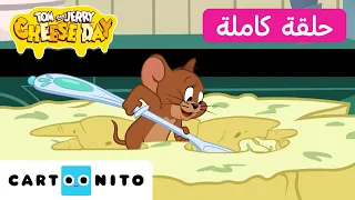 توم وجيري   حلقة   لا تقطع الجبن   كارتونيتو دندنها