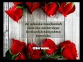 Download Lagu Maafkanlah - Syamel (Lirik)