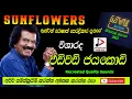 Download Lagu SUNFLOWER WITH EDWARD JAYAKODI LIVE SHOWහිරුපොළ2003 එඩ්වඩ් ජයකොඩි පැරණි  සන්ෆ්ලවර් Recreated SOUNDS