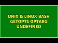 Unix Linux BASH getopts OPTARG undefined