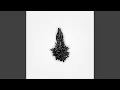Download Lagu A Different Shade Of Misery