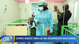 SABIA QUE? 8.º EP - Tema: COMO NASCE UMA LEI NA ASSEMBLEIA NACIONAL ?