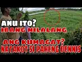 Download Lagu May ibang nilalang na kumagat sa amin pamingwit?