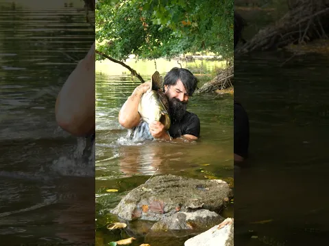 Noodling catfish.  #survival #fishing #cooking
