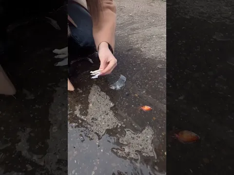 Video Thumbnail: Bu yaratıcı lastik hilelerine bir göz atın!