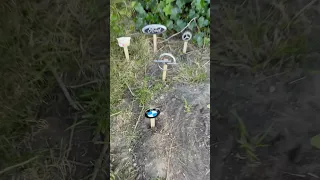 I Say Goodbye To My Car 