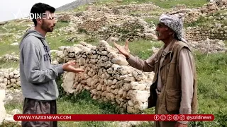 برنامج وارئ باب و كالا قرية بكرا Www Yazidinews Com 