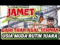 Download Lagu MURAI JAMET DARI TRAH ASAL TERNAK KINI RUTIN JUARA USIA MUDA | JUARA 4 KELAS BURSA HIGHLAND STADIUM