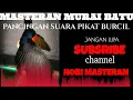 Download Lagu SUARA JERNIH PANCINGAN/PIKAT BURCIL AMPUH.
