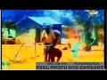 Lagu Paul Mpofu and Zambuko  -  Murambinda 1992 Zimbabwe Hit Song (VIDEO)