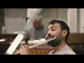 Saint-Saëns: Carnival of the Animals: Aquarium