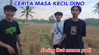CERITA MASA KECIL DINO SERING IKUT MANEN PADI