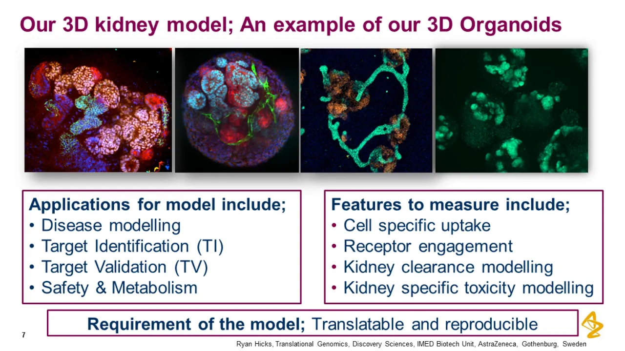 Generation and application of 3D-organoid cell culture models using human induced