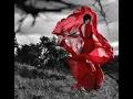 No Ordinary Love - Chris Botti