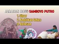 Download Lagu LAGU TRENDING ‼️ SIGAR - OPLOSAN JARANAN ROGO SAMBOYO PUTRO AUDIO JERNIH COCOK BUAT CEK SOUND