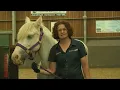 RDA Unicorn Centre Middlesbrough