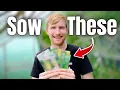 Download Lagu Clever Gardeners Are Sowing These In September For Winter Harvests