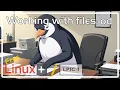 Free Linux LPIC-1 - od command