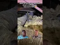 Download Lagu Hey we got a duct job in an attic today!🤣#hvactechnician #funny