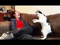 Download Lagu One in a Billion DRAMATIC CAT Moments 😄😸