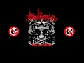 Download Lagu Leichenzug - Sieg der Heiden