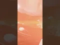 NOVA CONCA Reels 1