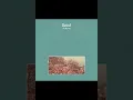 Beirut - As Needed