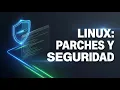 2 7 Package Management Updates and Patches in Linux Security for Analysts