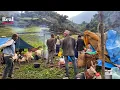 Download Lagu Sherpherd Life In Rural People In survival In Whole  Life || Daily Life Activites In Nepal ||