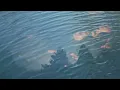 Christopher Willits - CLEAR