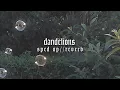 Download Lagu dandelions - sped up//reverb