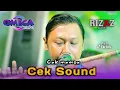 Lagu CEK SOUND - OMEGA MUSIC LIVE PERFORM SIDOARJO