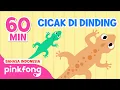 Download Lagu Cicak-cicak di Dinding diam-diam Merayap 1 Jam | Lagu Anak | Pinkfong Baby Shark Indonesia