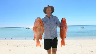 SPEARFISHING AUSTRALIA’S BEST FISH (Catch, Clean, Cook)