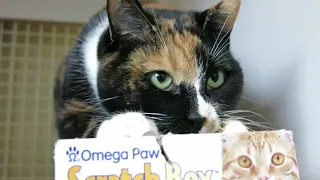 Trudy at Petco Eugene Oregon