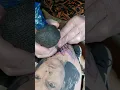 death hawk moths tattoo