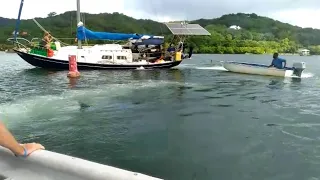 Oops! We hit bottom and are stuck in Honduras :(