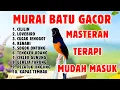Download Lagu 🔴 MASTERAN MURAI BATU GACOR AMPUH