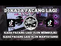 Download Lagu DJ KADA PACANG LAGI VIRAL TIK TOK TERBARU