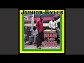 Download Lagu JUNIOR BYLES - Now Generation (1974)