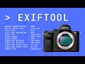 Using ExifTool to Extract Metadata from Files