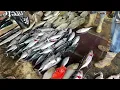 Download Lagu Sea food heaven fish heaven fresh catches of the day . Tuna crabs prawns cuttlefish exotic fish