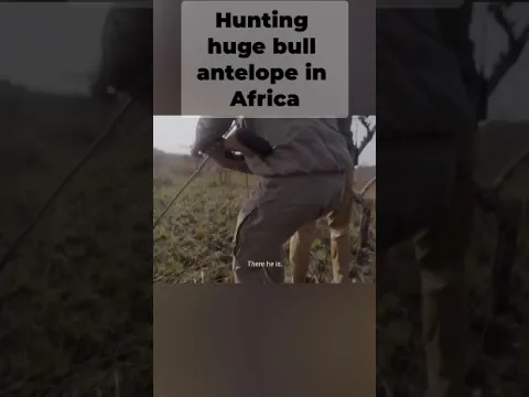 Steve shoots a Big bull sable antelope in Africa