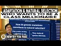 Adaptation Natural Selection Science Review Quiz Questions-Who Wants to Be a Millionaire-Style